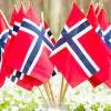 Norske flagg sammen med blomster.